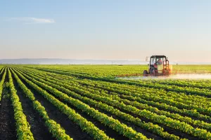 Edis Felić: Ministarstvo poljoprivrede ignorira problem otpada na njivama