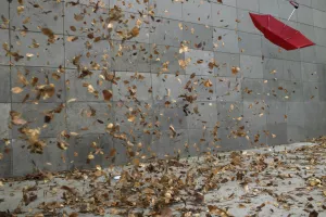 Miodrag Šajatović: Pojava koja je obilježila ekonomsku 2019. je &ndash; vjetar