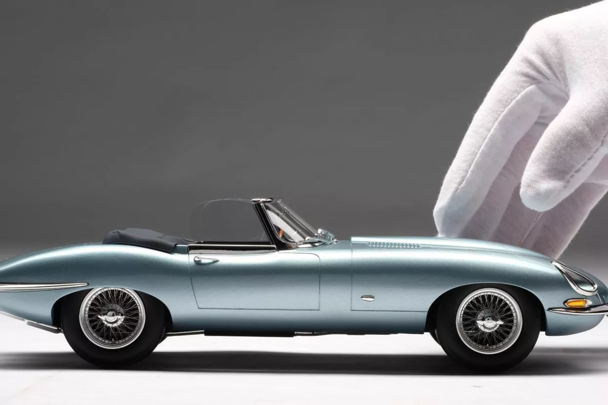 amalgram mozda glavna