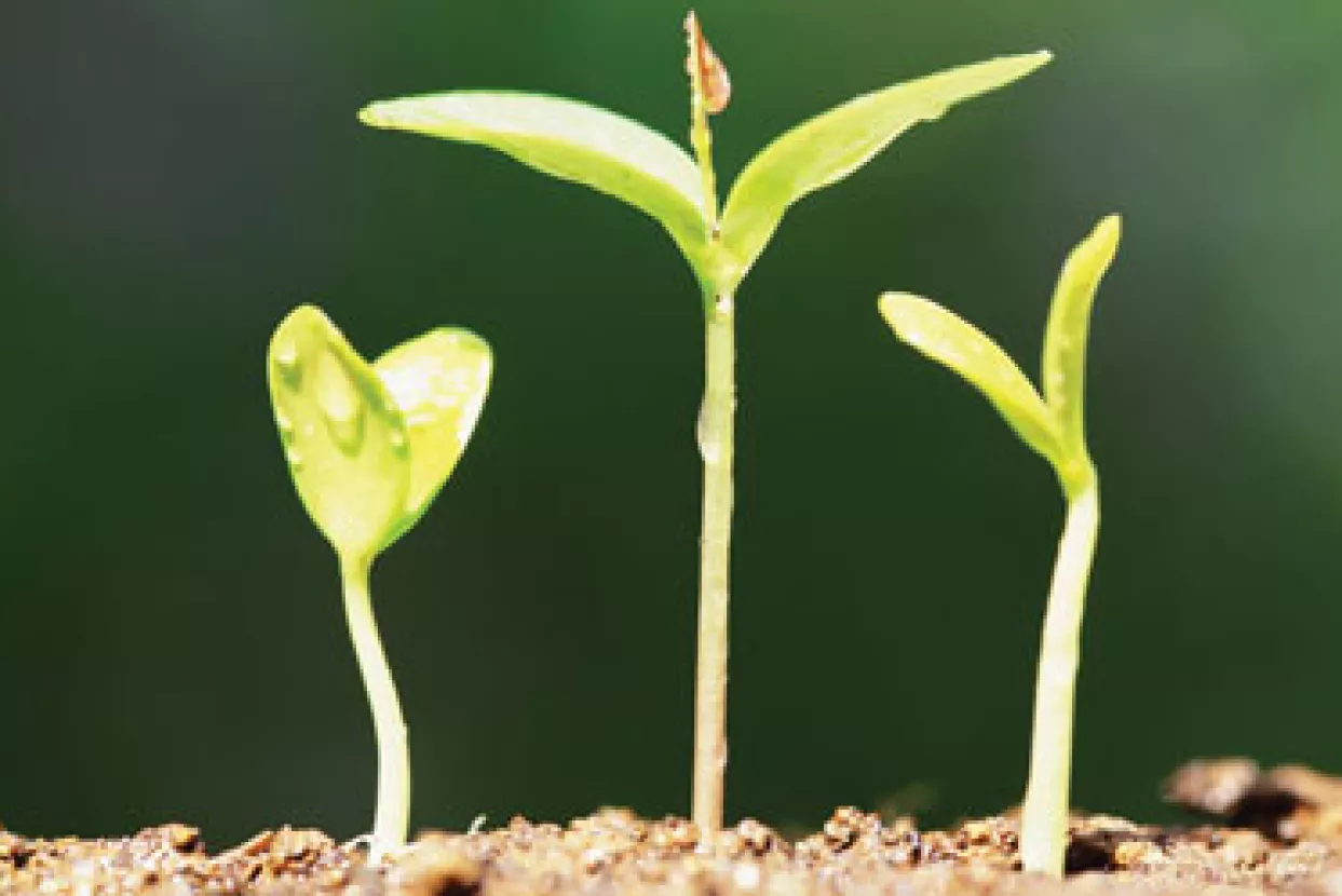 Miodrag Šajatović: Teško je složiti se s Plenkovićem da imamo zdrav rast