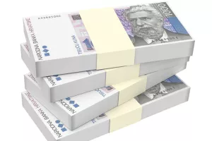 Više od pola imovine cijelog hrvatskog financijskog sektora čini&nbsp;jedna vrsta papira