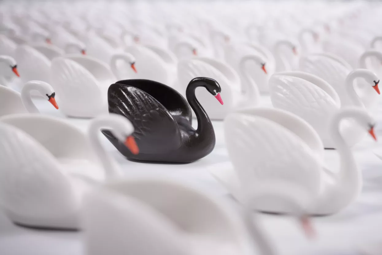 Goran Litvan: Crni labud i HDZ-ovi &#39;glasači nogama&#39;