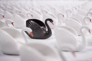 Goran Litvan: Crni labud i HDZ-ovi &#39;glasači nogama&#39;