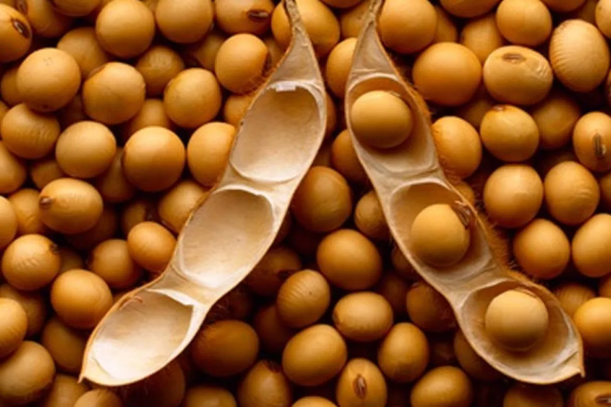 Zanimljiva situacija na svjetskom tržištu žitarica, količine sojinog zrna blizu rekordnih