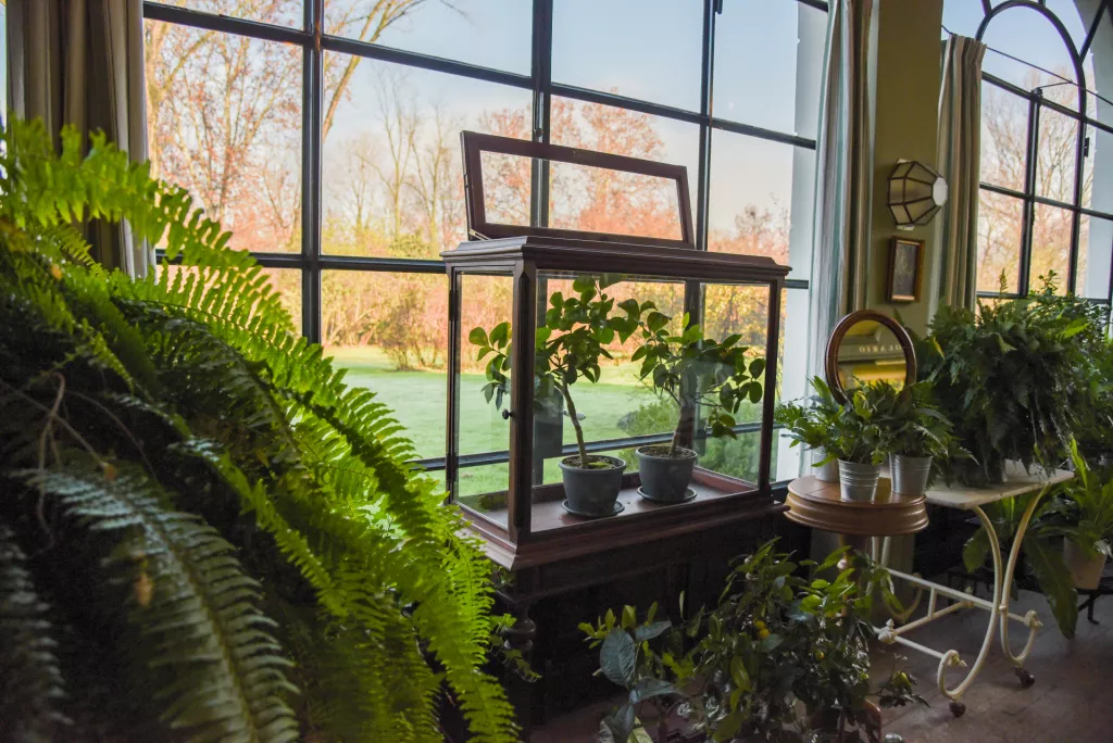 Prirodna kozmetika - Otkrivanje mirisnog svijeta L&#39;Erbolaria
&nbsp;