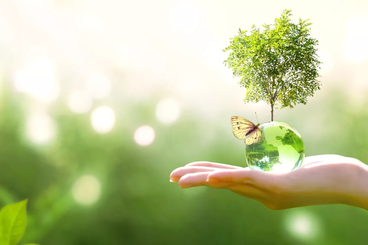 Održivost i ekologija