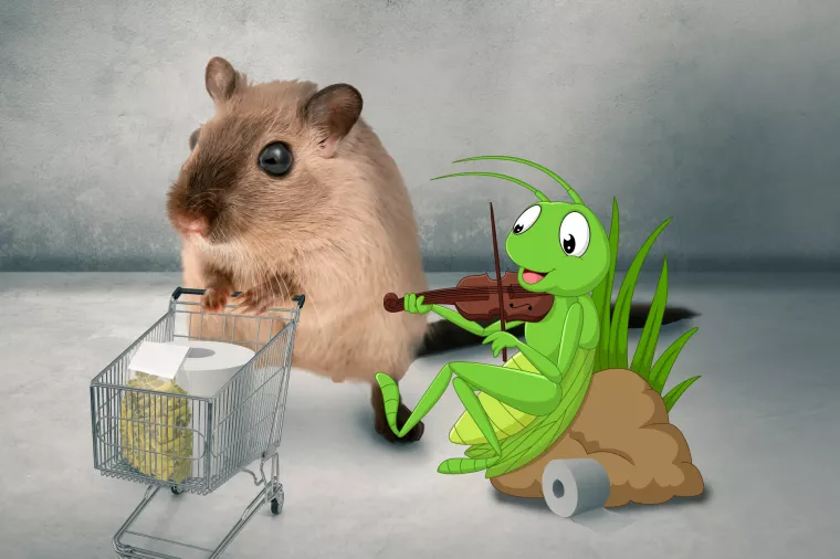 CVRČCI I HRČCI: Kako je koronavirus podijelio Hrvatsku na dvadeset načina