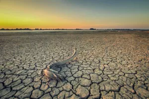 Likvidnost presušuje, a kredita (još) nema