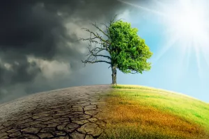 Višnja Starešina: Mala zemlja za visoku tehnologiju, ugodan život i veliko zdravlje