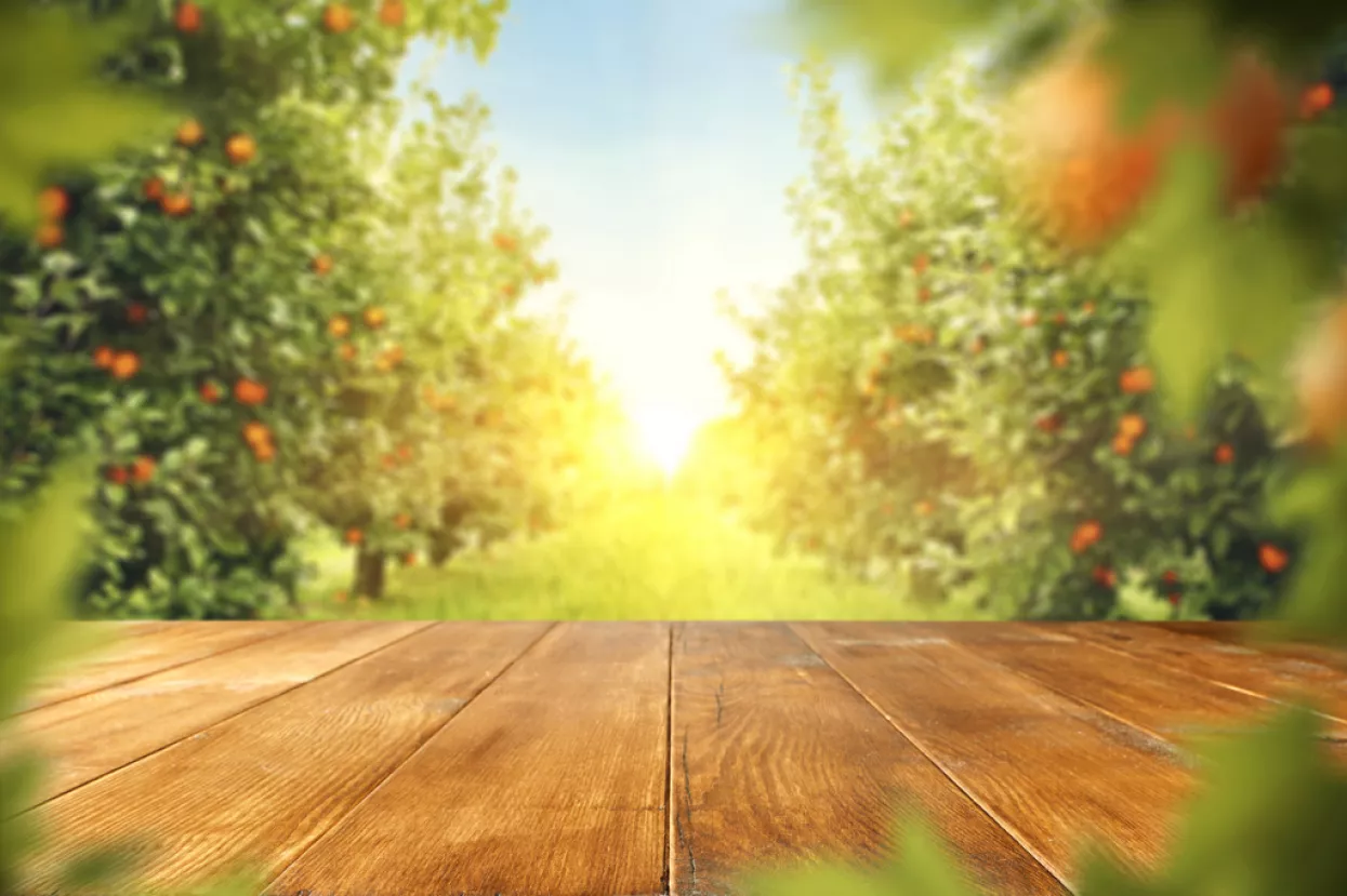 ENNA Fruit poziva hrvatske poljoprivrednike na suradnju