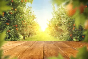 ENNA Fruit poziva hrvatske poljoprivrednike na suradnju