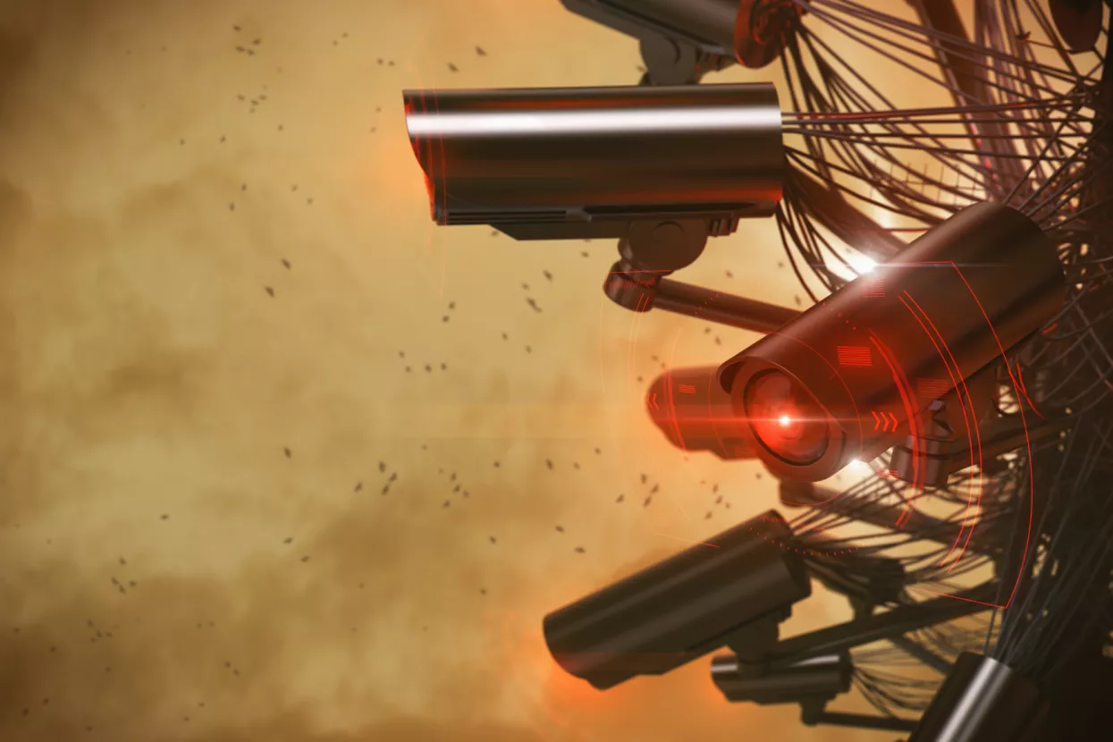 Na ljestvici od 1 do 10 potražnja za termalnim kamerama popela se na 110