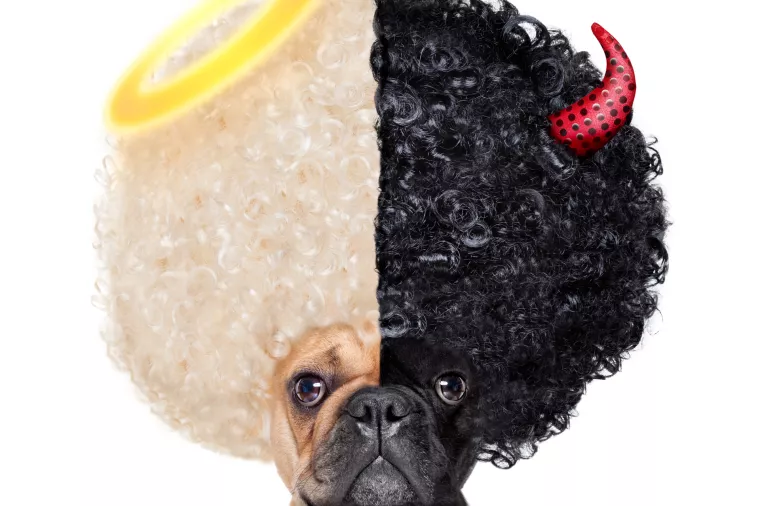 INFODEMIJA (EPIDEMIJA INFORMACIJA) RAZARA: Te&scaron;ka vremena za čupanje istina iz laži