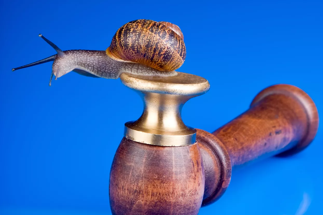 Goran Litvan: Hrvatska u zamci incesta politike i pravosuđa