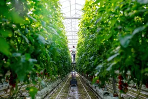 Hrvatska poljoprivreda i Europska unija &ndash; što je s novom Zajedničkom poljoprivrednom politikom?