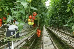 METRO poziva hrvatske dobavljače da plasiraju svoje proizvode
