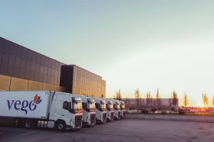 Brojimo šlepere (15): Osatina Grupa tjedno otpremi 70 šlepera voća, povrća i gljiva