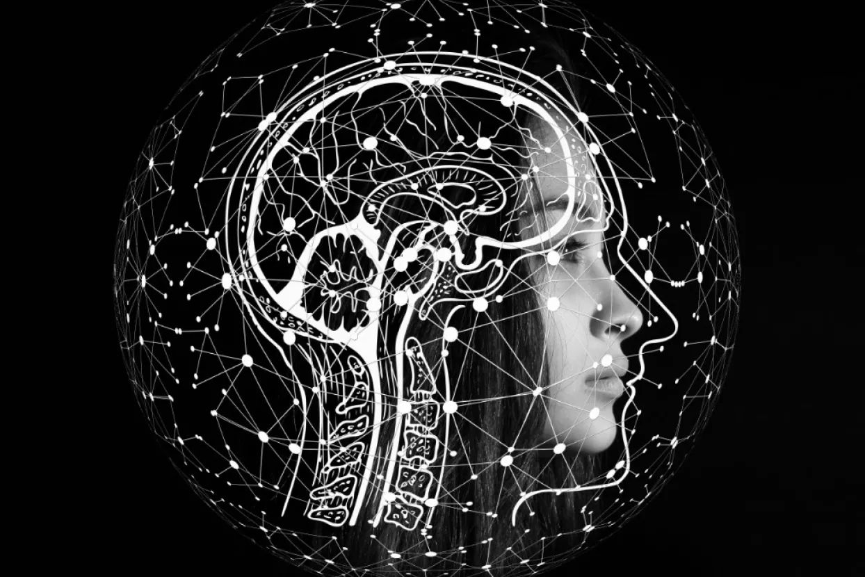 Nove ideje Elona Muska - Glazba će doslovno svirati po mozgovima