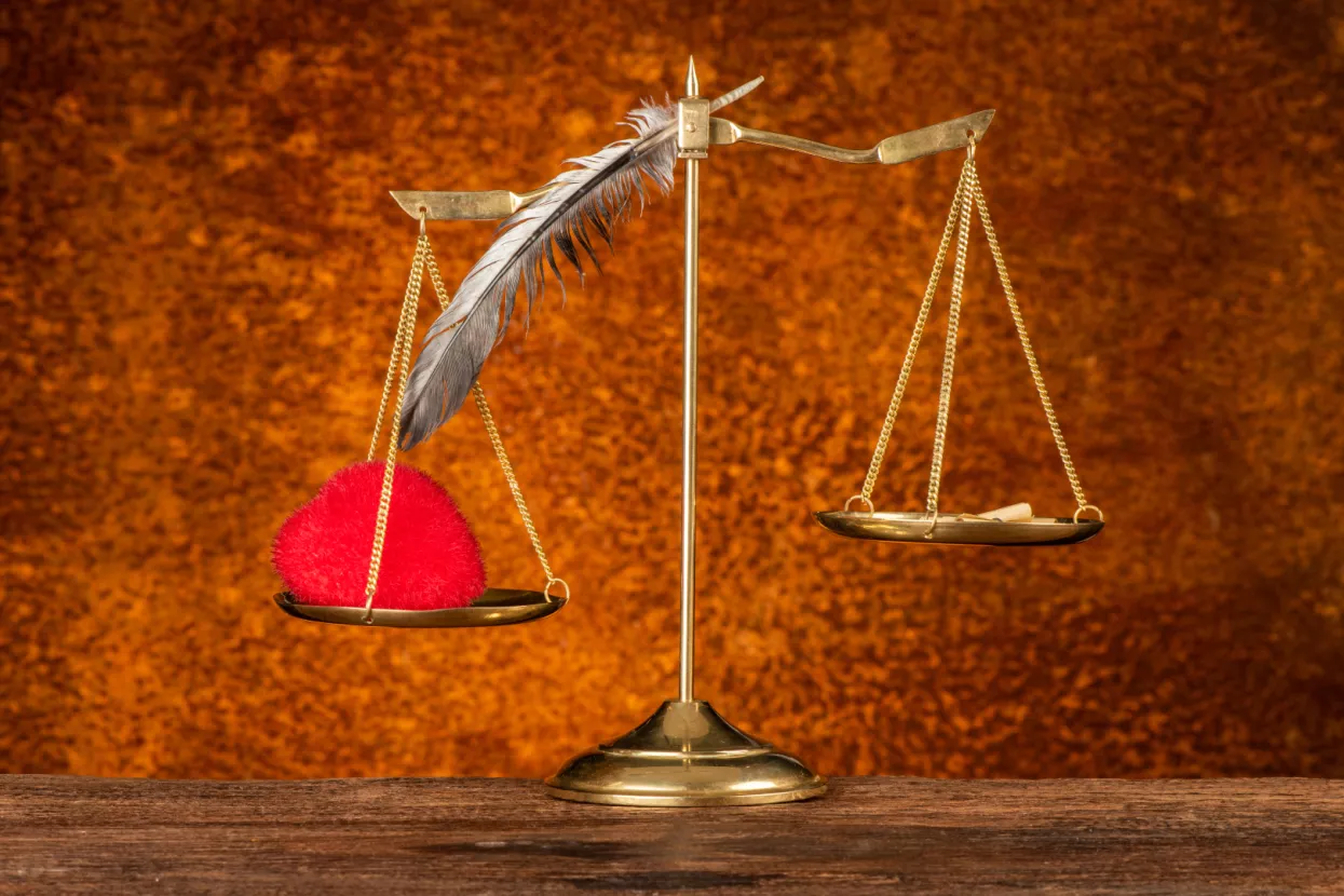 TUMAČENJE U PRAVU (2): Blagus je dobio obavijest o optužnom prijedlogu. Što to znači?