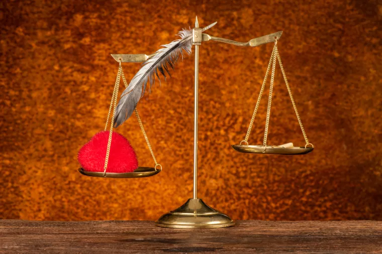 TUMAČENJE U PRAVU (2): Blagus je dobio obavijest o optužnom prijedlogu. Što to znači?