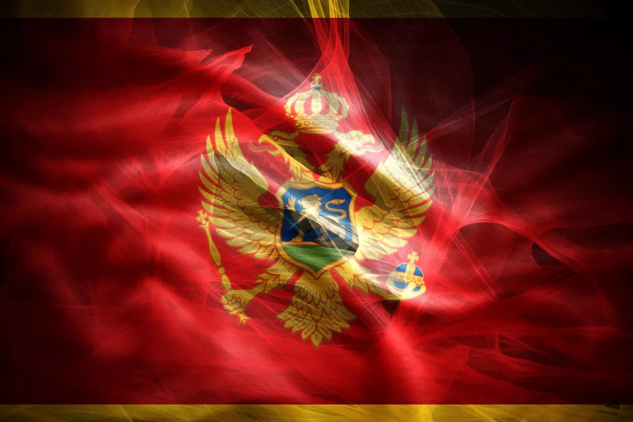 Vi&scaron;nja Stare&scaron;ina: Resetiranje Crne Gore za razdoblje poslije Mile Đukanovića