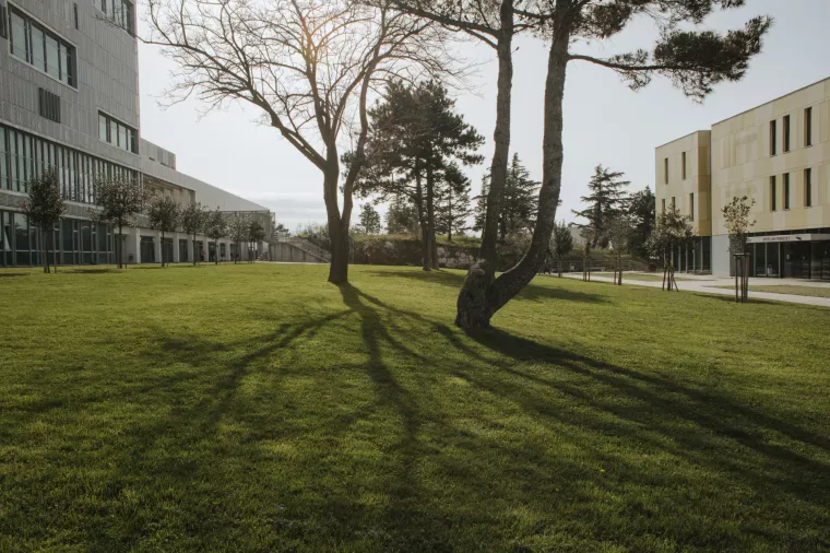 SVEUČILIŠTE U RIJECI - Semper magis! Uvijek više!