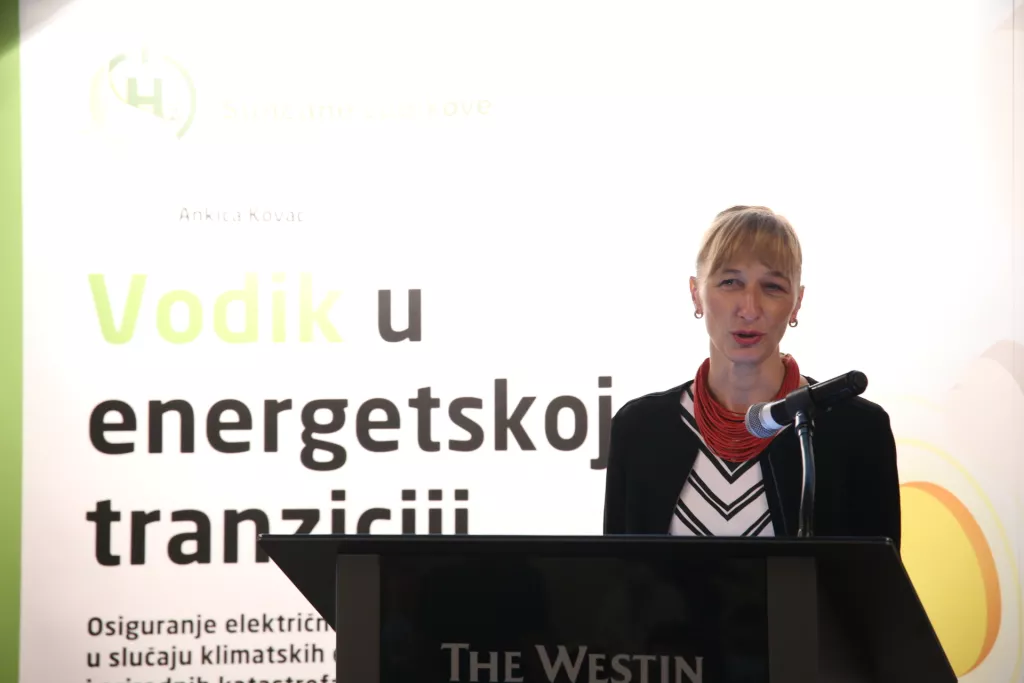 Struja i grijanje na vodik svjetska su top tema, a Hrvatska razvija vlastita rje&scaron;enja