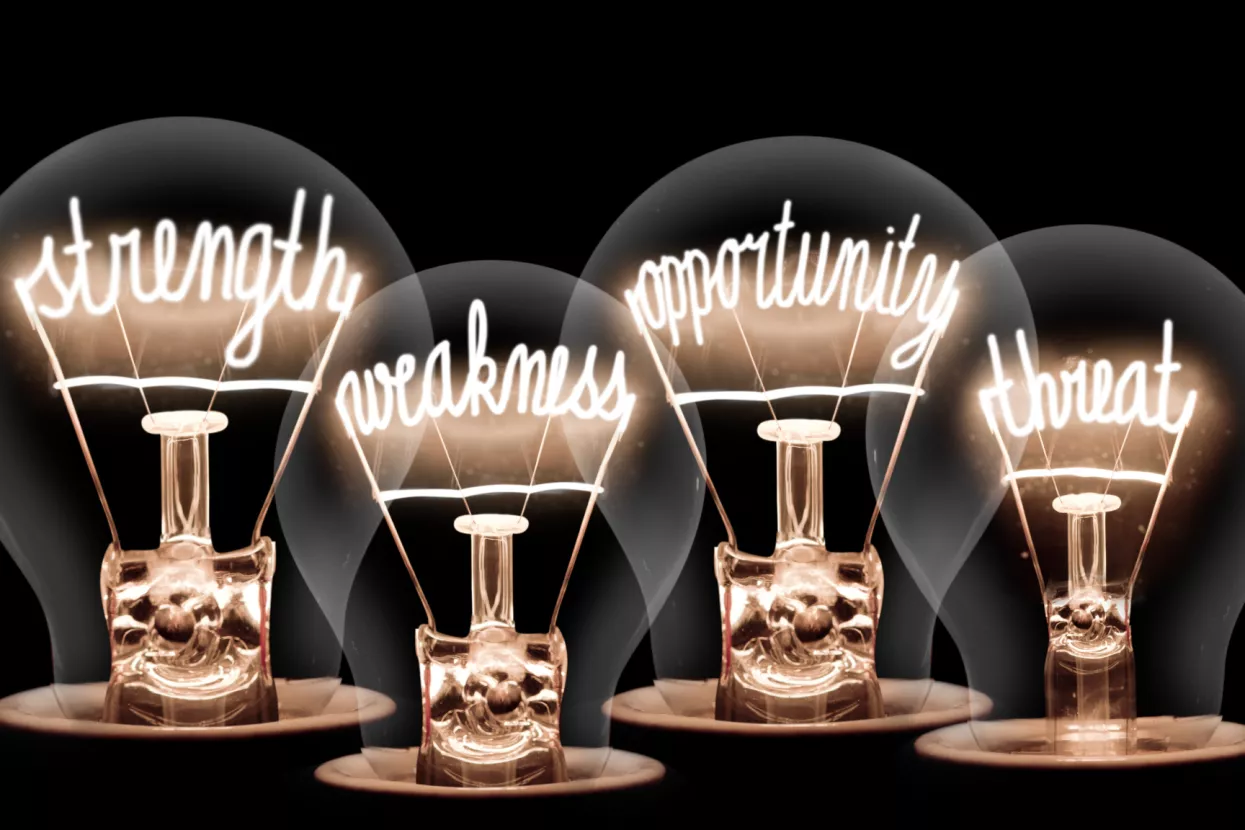 Miodrag &Scaron;ajatović: Hrvatski SWOT &ndash; akcija koju pokrećemo na Liderov 15. rođendan