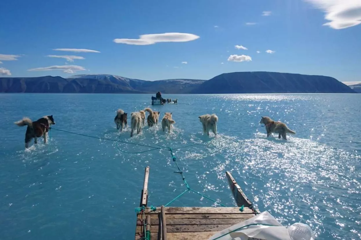 Arktik pogodile najvi&scaron;e temperature u tri milijuna godina