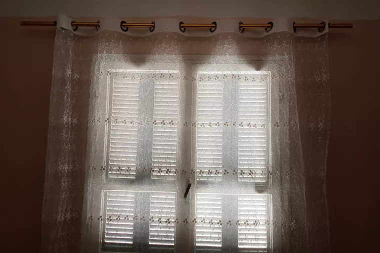 Goran Litvan: Epidemija otkrila fantomski dom za starije