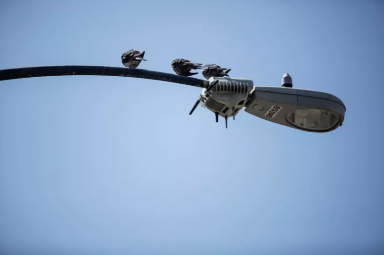 Gase se najmoćniji svjetski senzori na gradskoj rasvjeti