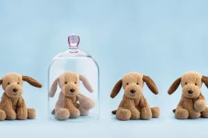 Suvremeni roditelji odgajaju djecu koja se boje života