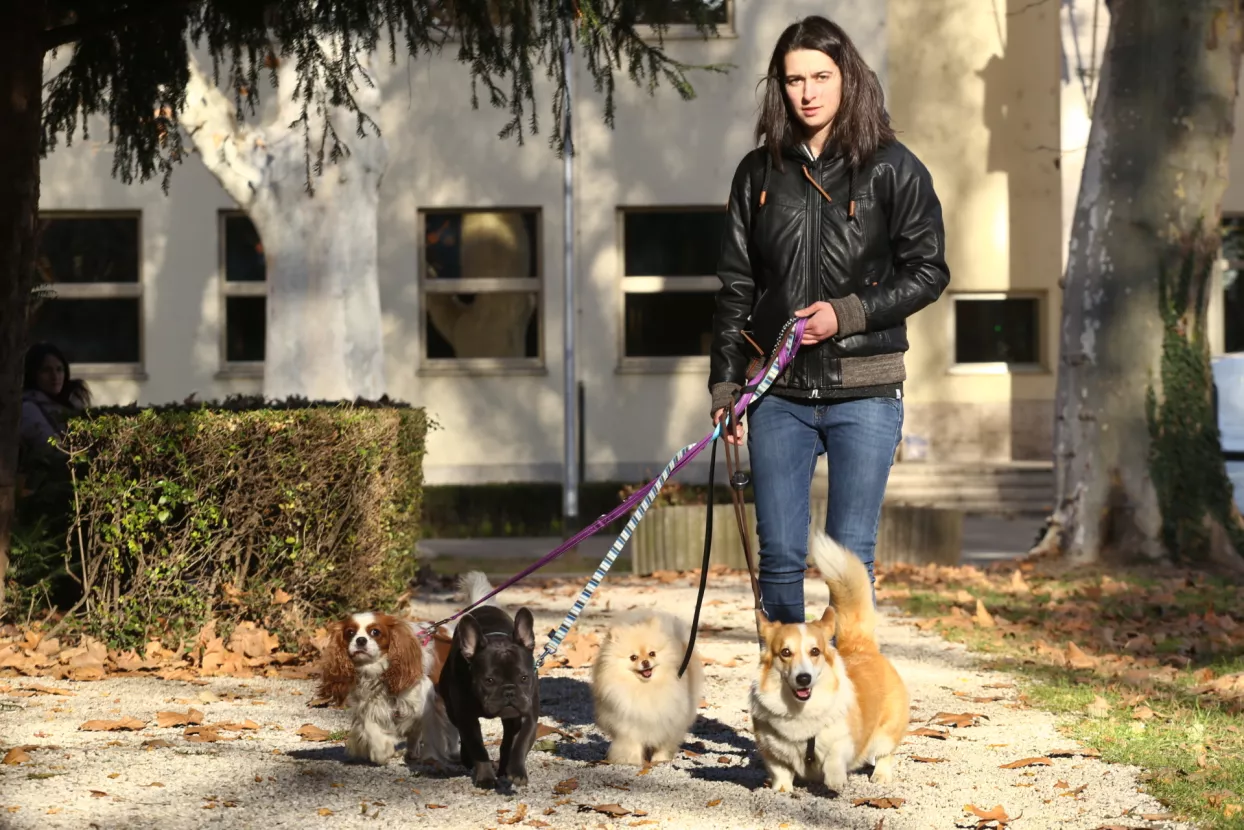 [30 ispod 30] Sa&scaron;a &Scaron;panović posao čuvanja i &scaron;etnji kućnih ljubimaca uskoro &scaron;iri izvan Zagreba