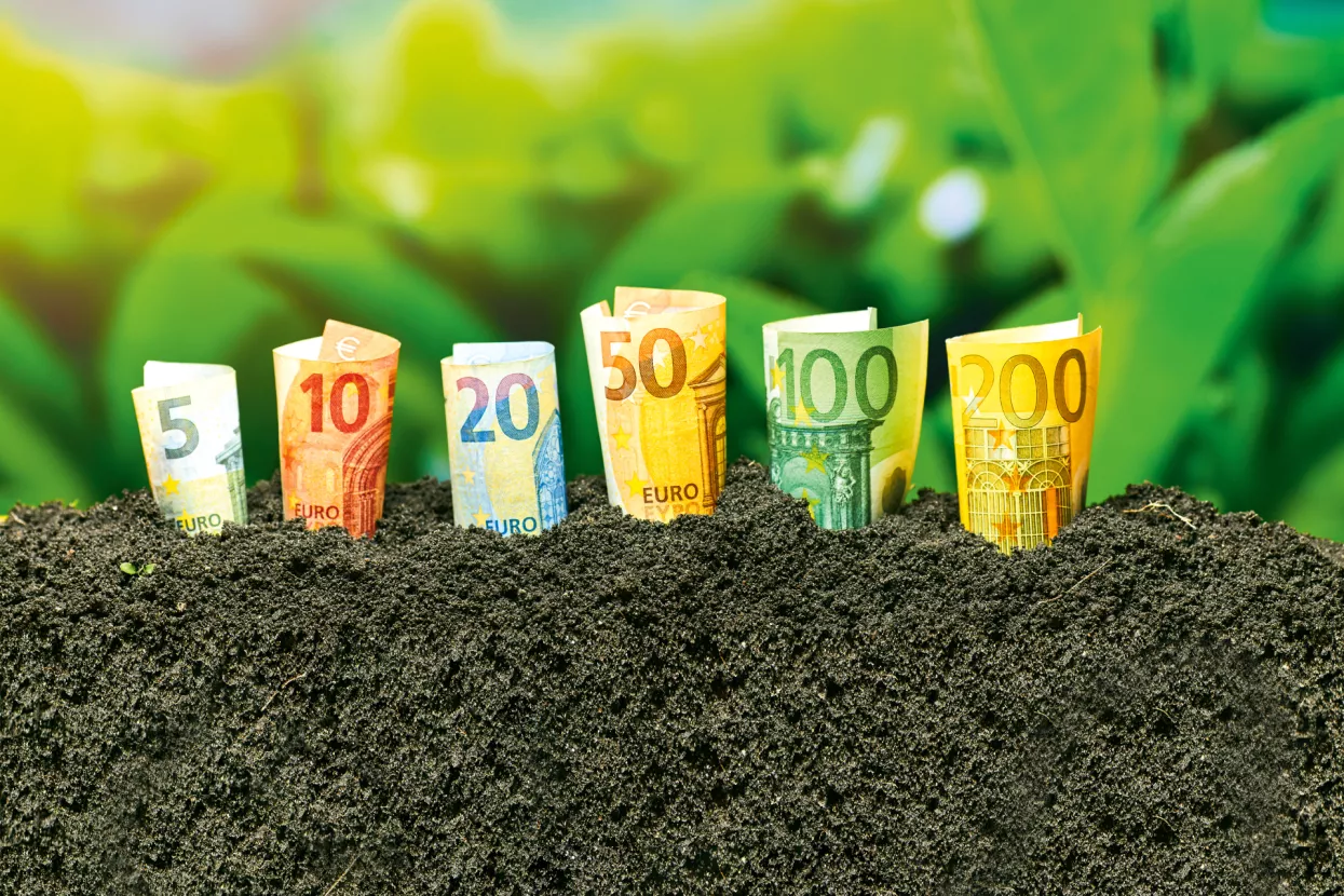 Kupite njivu i zaradite bez oranja i kopanja