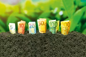 Kupite njivu i zaradite bez oranja i kopanja