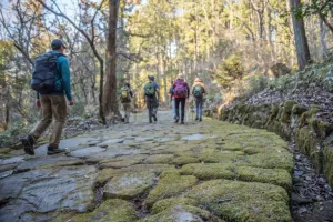 Zašto su Japancima teretane suvišne