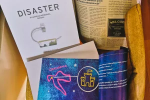 Slikovnica za biznismene &#39;DISASTER &ndash; Dijagnoza modernog biznisa&#39;