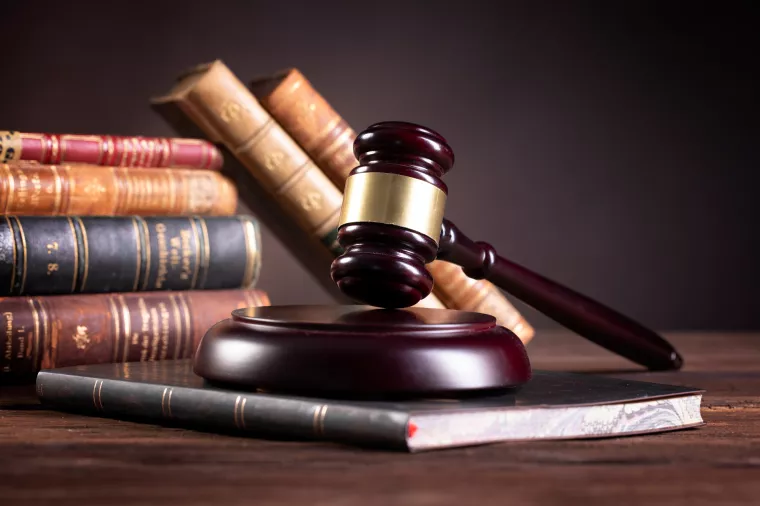 Edis Felić: Odvjetnica Vidmar dobila prvu bitku protiv Borisa Smrečkog