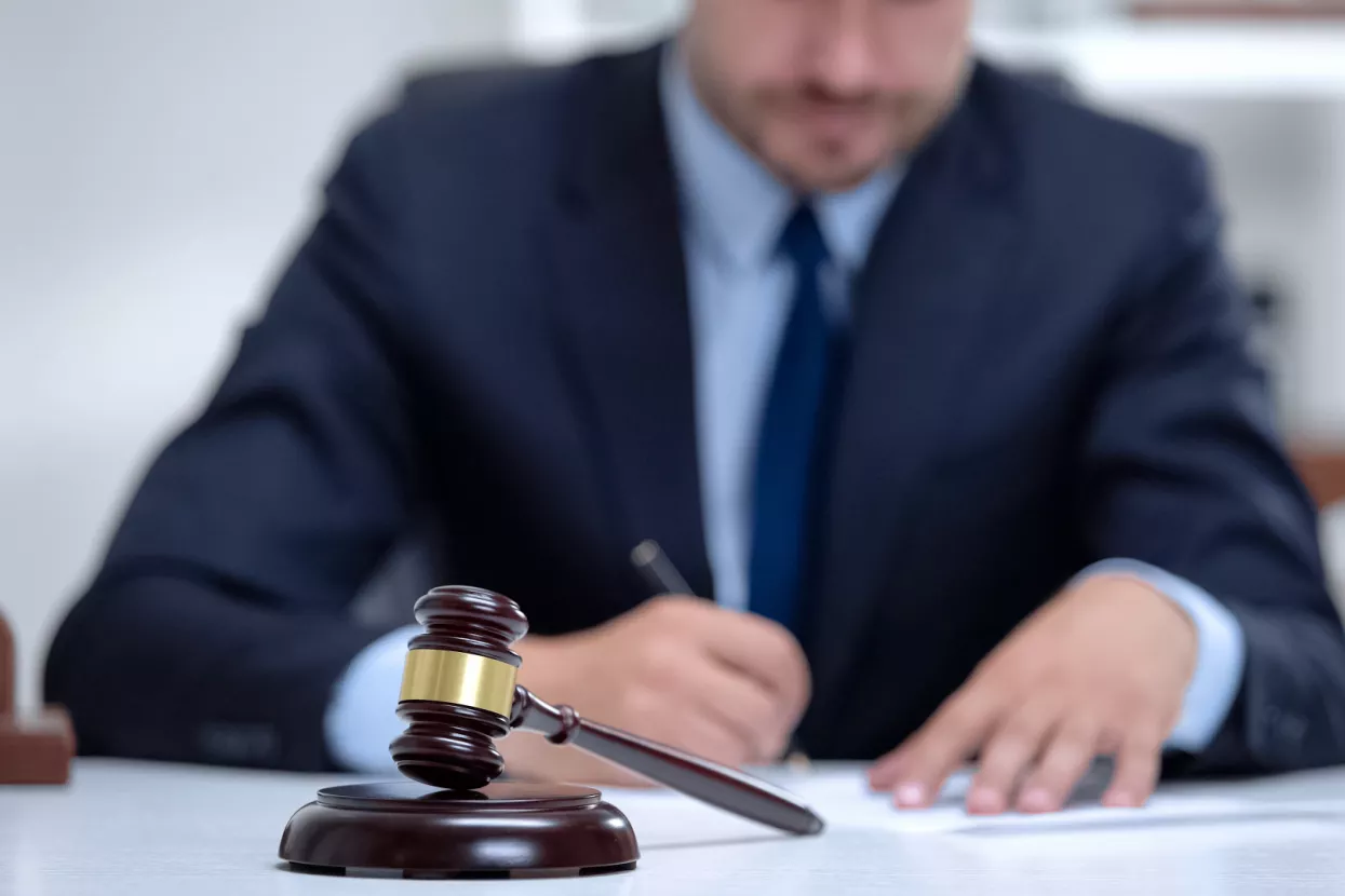 Višnja Starešina: Zašto Hrvati, za razliku od Nijemaca, ne vjeruju u svoj sustav? Zato što ga nemaju