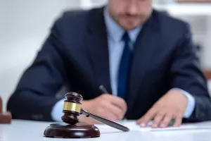 Višnja Starešina: Zašto Hrvati, za razliku od Nijemaca, ne vjeruju u svoj sustav? Zato što ga nemaju