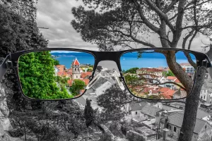 Globalni fenomen pandemije - Digitalizacija smanjuje frustracije