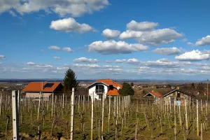 Hrvatski stručnjaci dobili posao praćenja inovacija u održivom turizmu za cijelu Jadransko-jonsku regiju