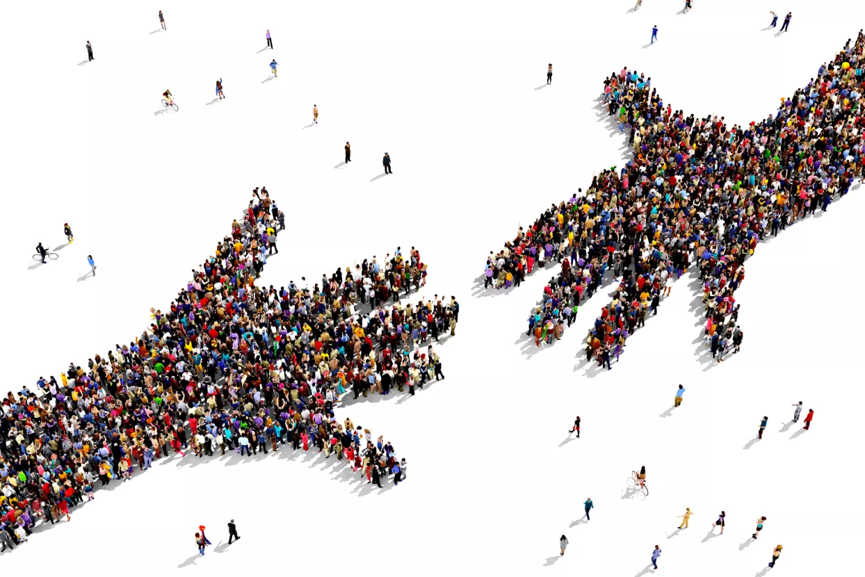 HGK, HUP i tvrtke uključile se u pomoć stradalima u potresu