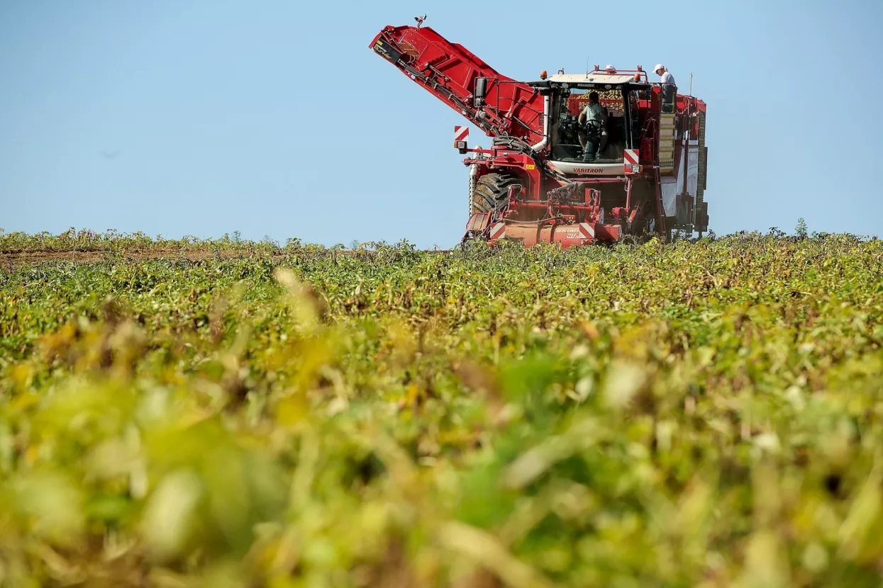 [ANALIZA] Ogromna ulaganja u poljoprivredu (možda) su počela davati rezultate