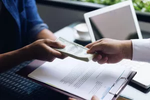 Edis Felić: Poduzetnica se boji da će morati vratiti novac u Bruxelles