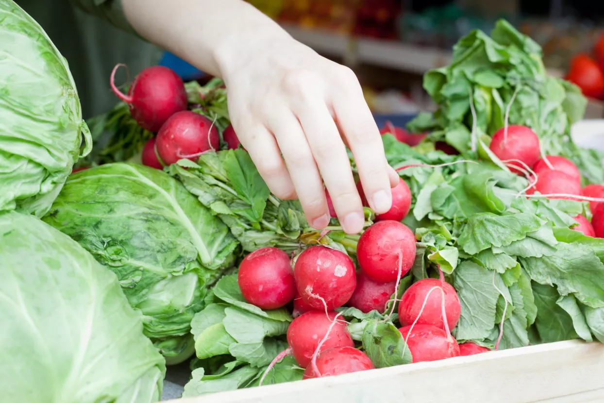 HPK i MHP olak&scaron;avaju plasman proizvoda proizvođača s potresom pogođenih područja