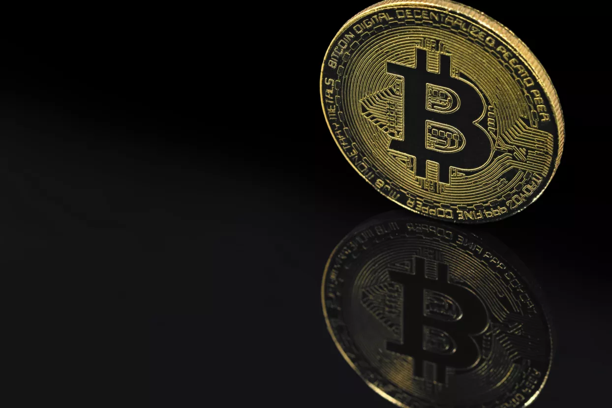 Usporedba bitcoina s ostalim kriptovalutama ili koliko je bitcoin velik?