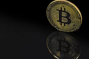 Usporedba bitcoina s ostalim kriptovalutama ili koliko je bitcoin velik?