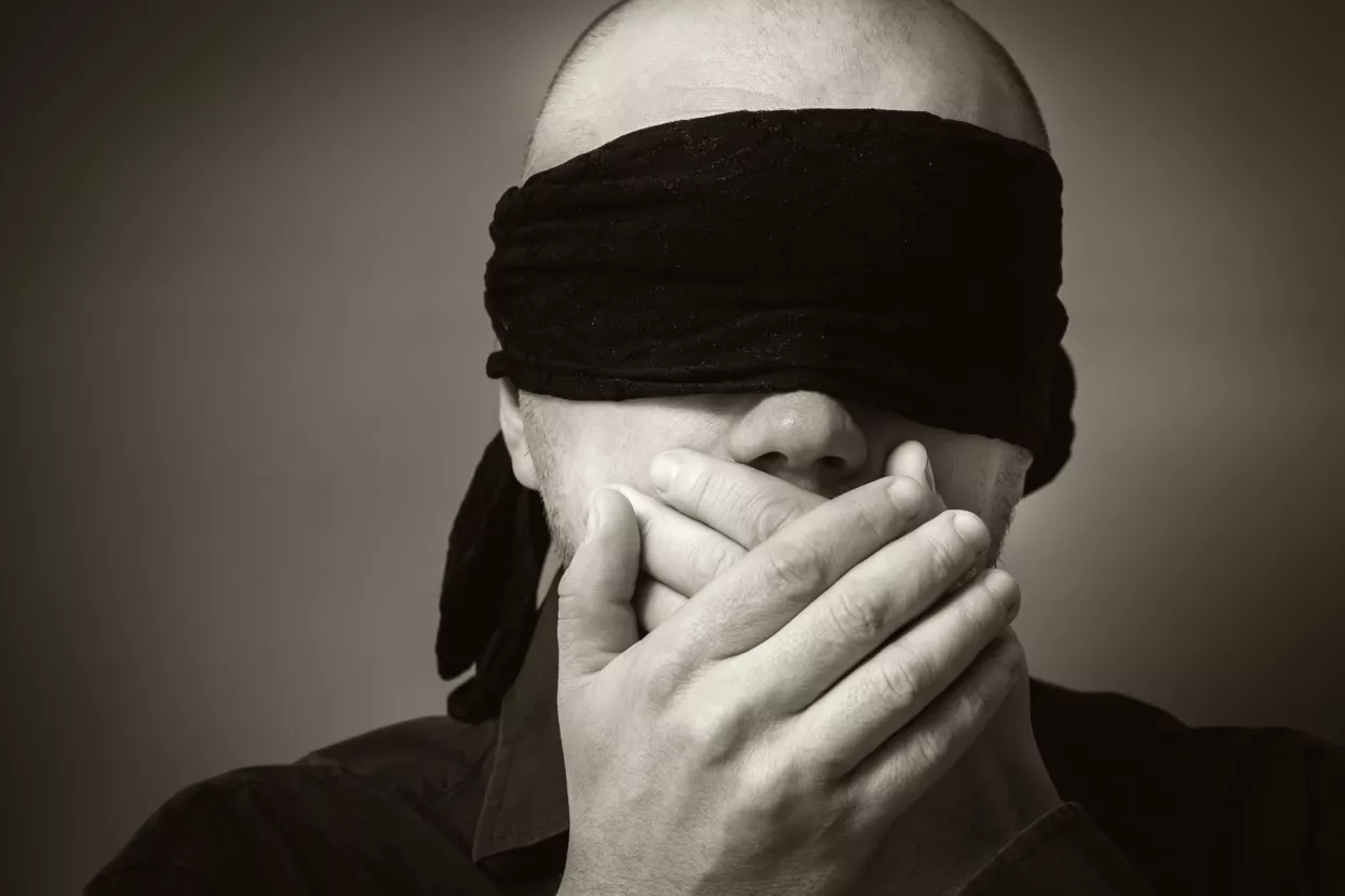 Edis Felić: Cenzuru treba suzbiti, a ne zakonski je pojačavati