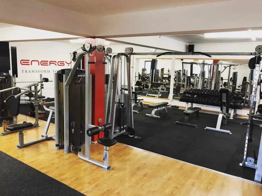 Damir Pungartnik: Zatvaranje fitnessa zbog pandemije kozmetička je mjera koja nema smisla